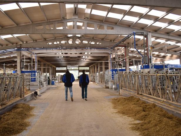 ganaderos DeLaval ganadería varela labrada ganaderos DeLaval ganadería varela labrada