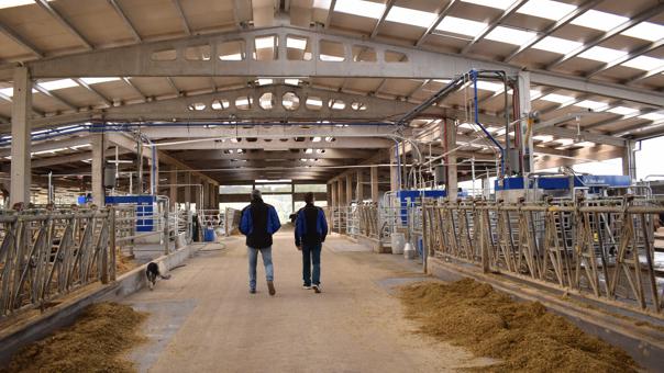 ganaderos DeLaval ganadería varela labrada ganaderos DeLaval ganadería varela labrada