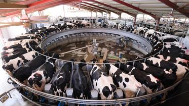 SAT Sant Mer rotativa DeLaval