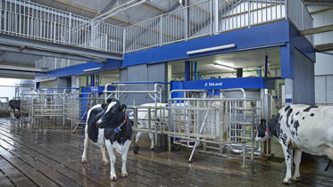 robots de ordeño Batch milking delaval