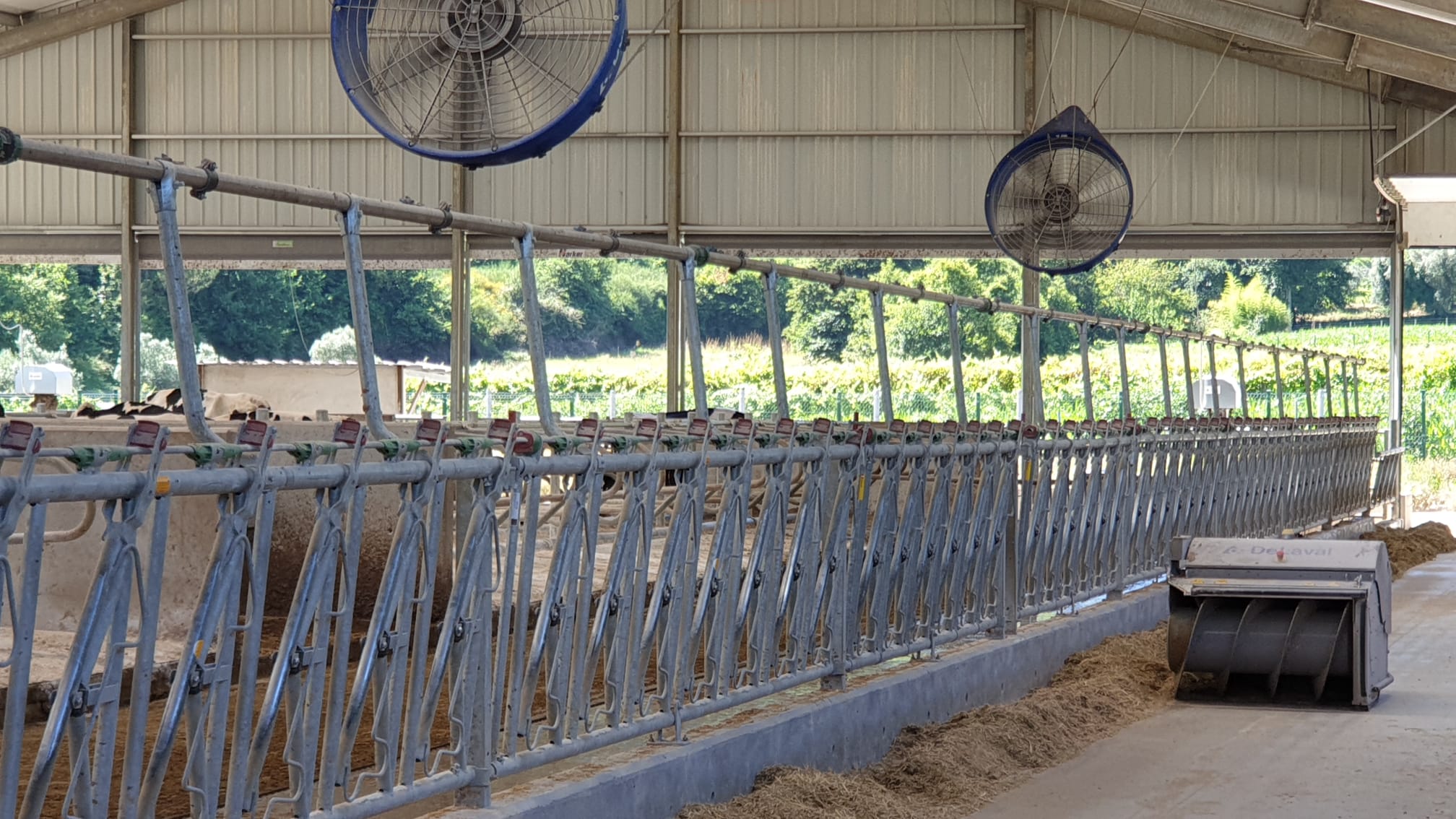 D.E. Agrocartucho-DeLaval (4).jpg