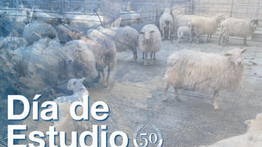 Día de estudio DeLaval en la granja Premietxeberri