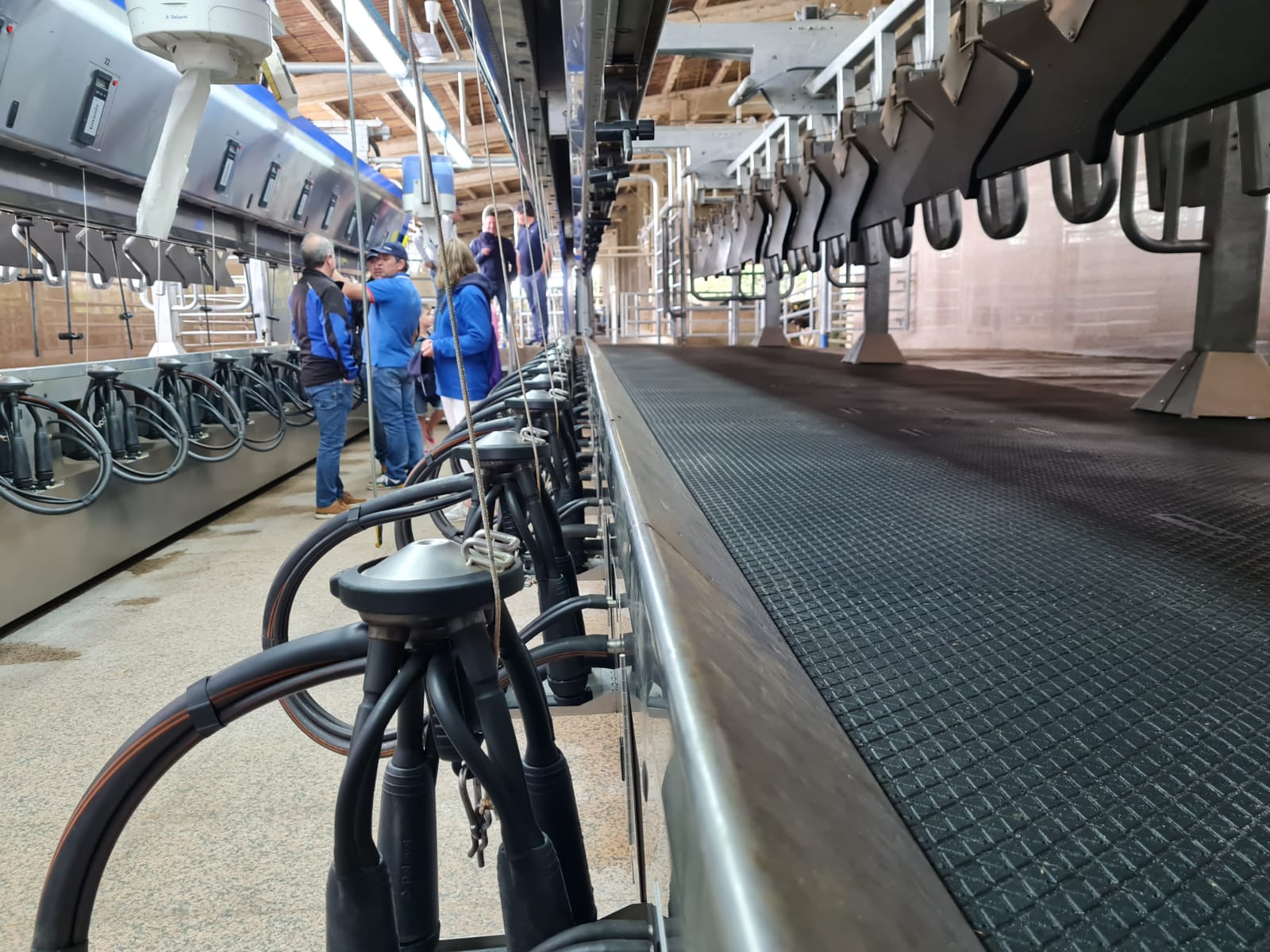 DeLaval-DE-Couquiño (2).jpg