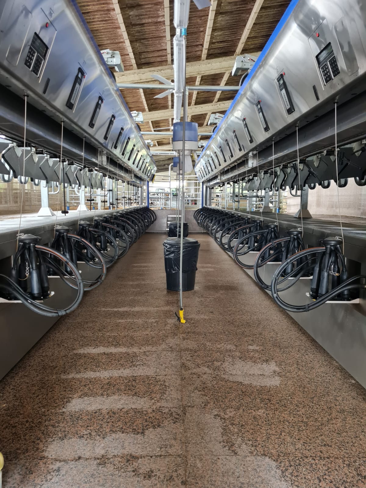 DeLaval-DE-Couquiño (8).jpg