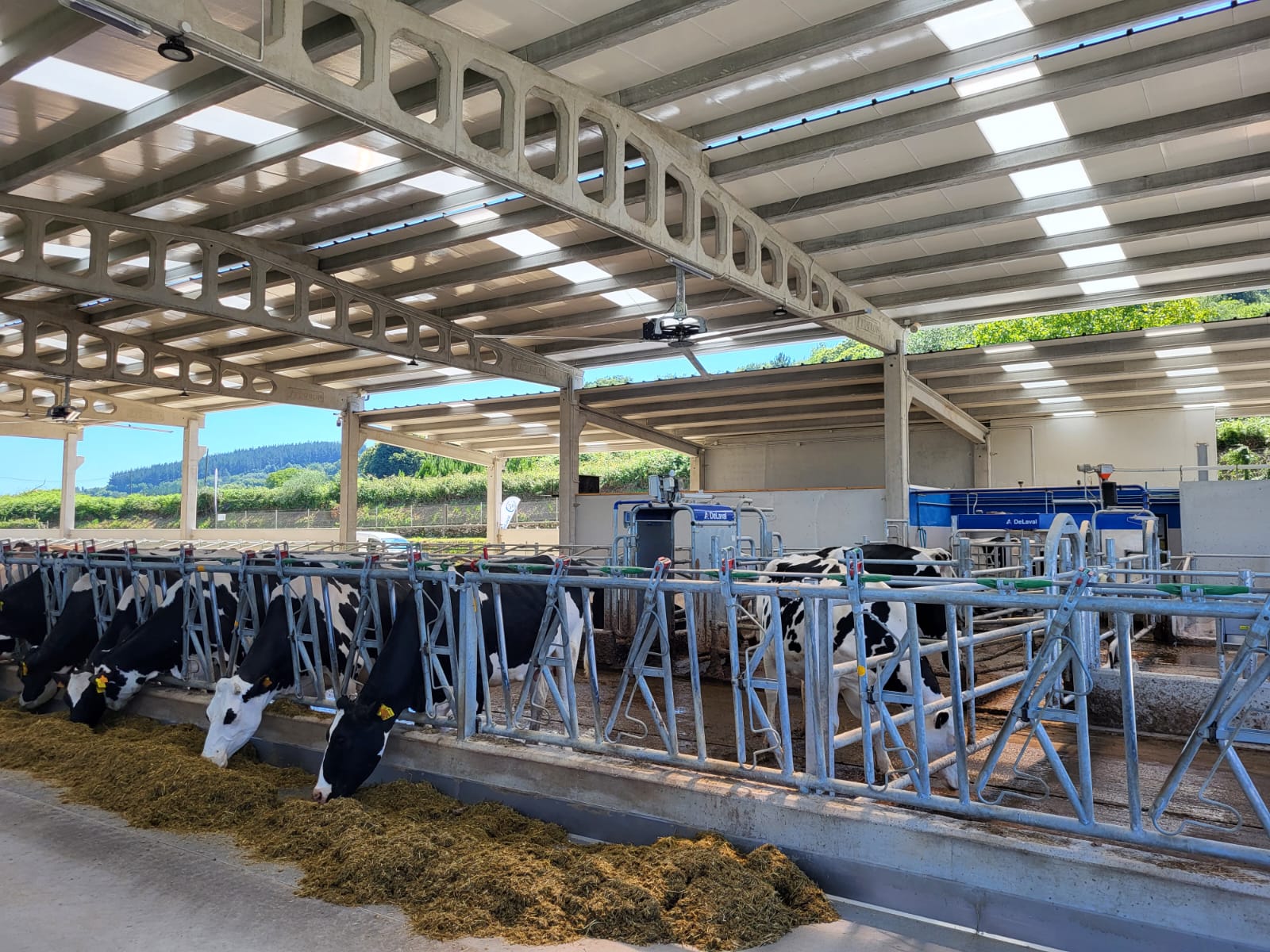 DeLaval-Queiroga-DE (3).jpg