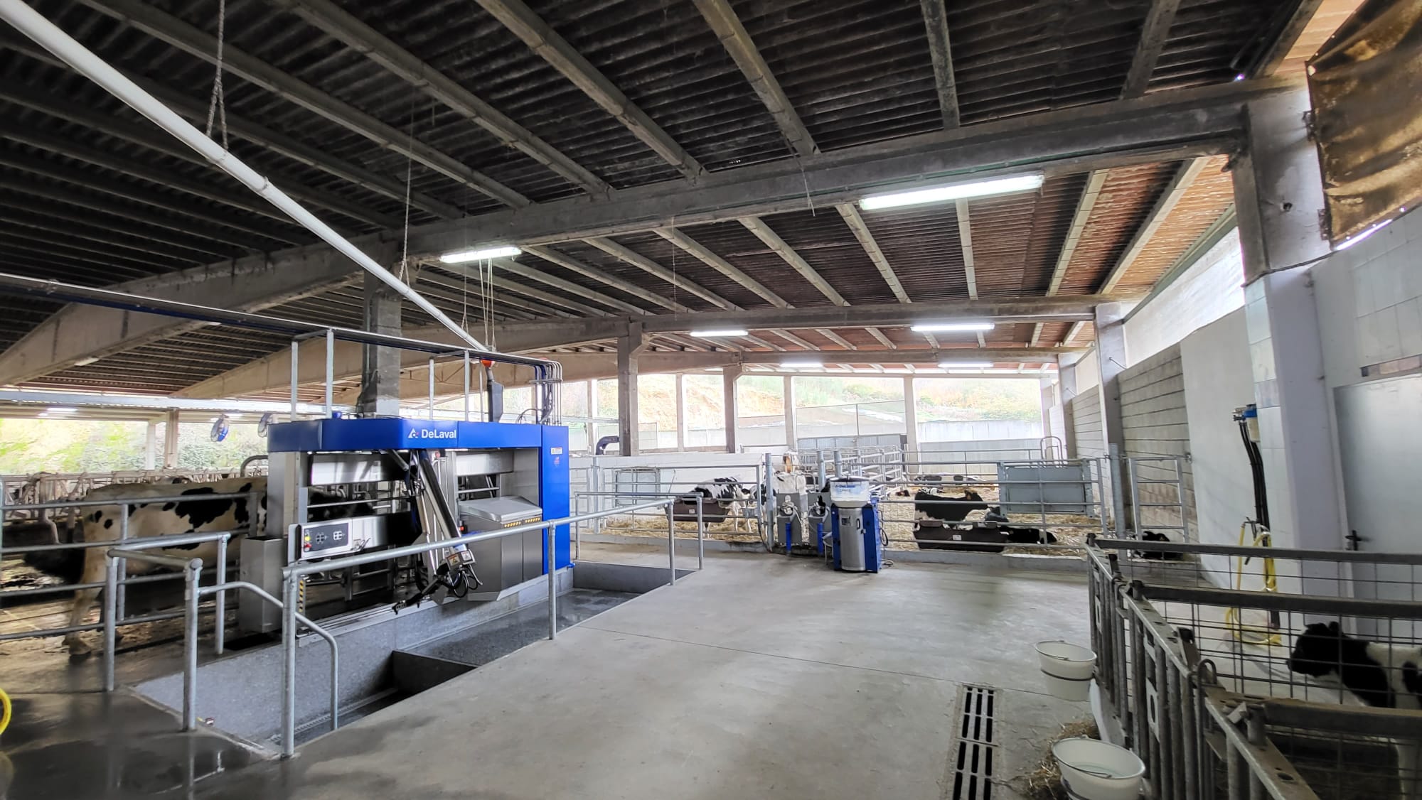 Día de Estudio V300 en Ganadería O PicoLeiva y Lorenzo (1).jpg