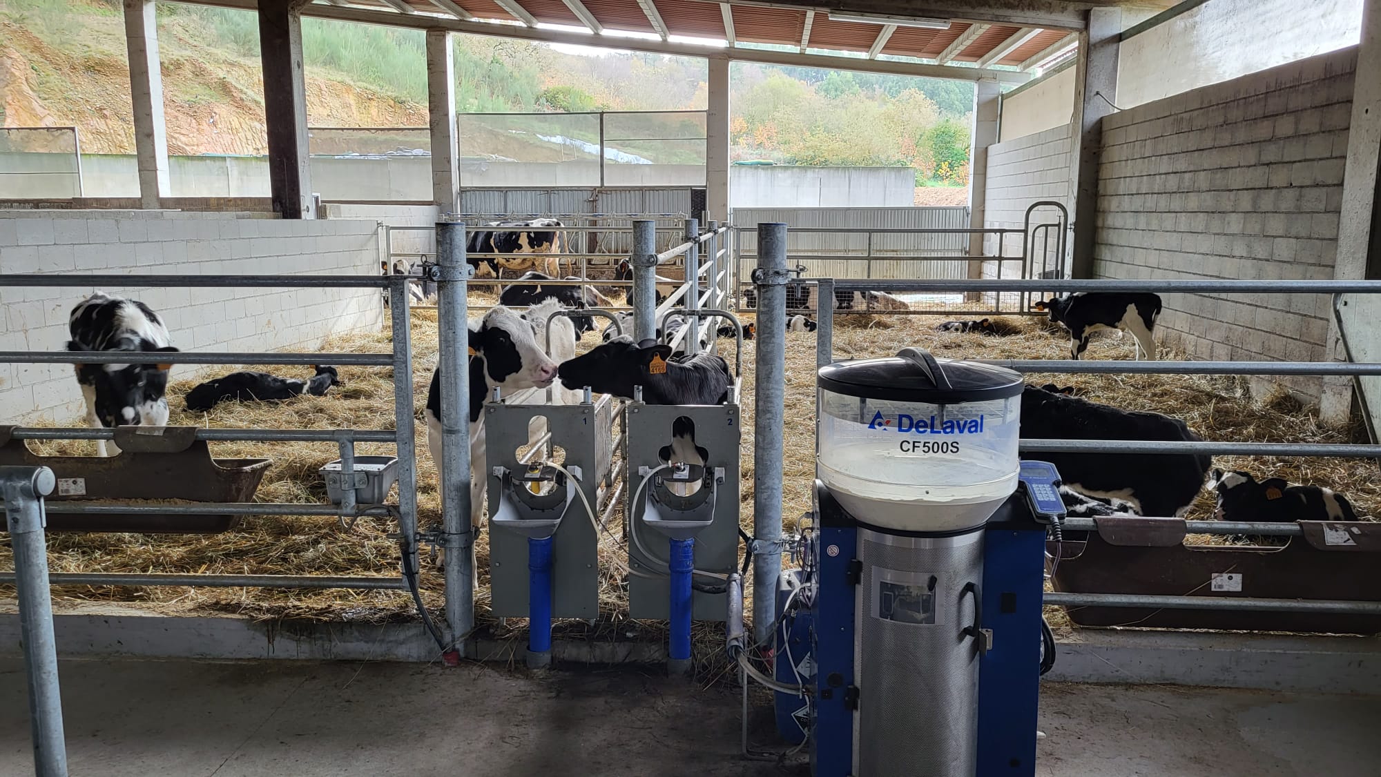 Día de Estudio V300 en Ganadería O PicoLeiva y Lorenzo (2).jpg