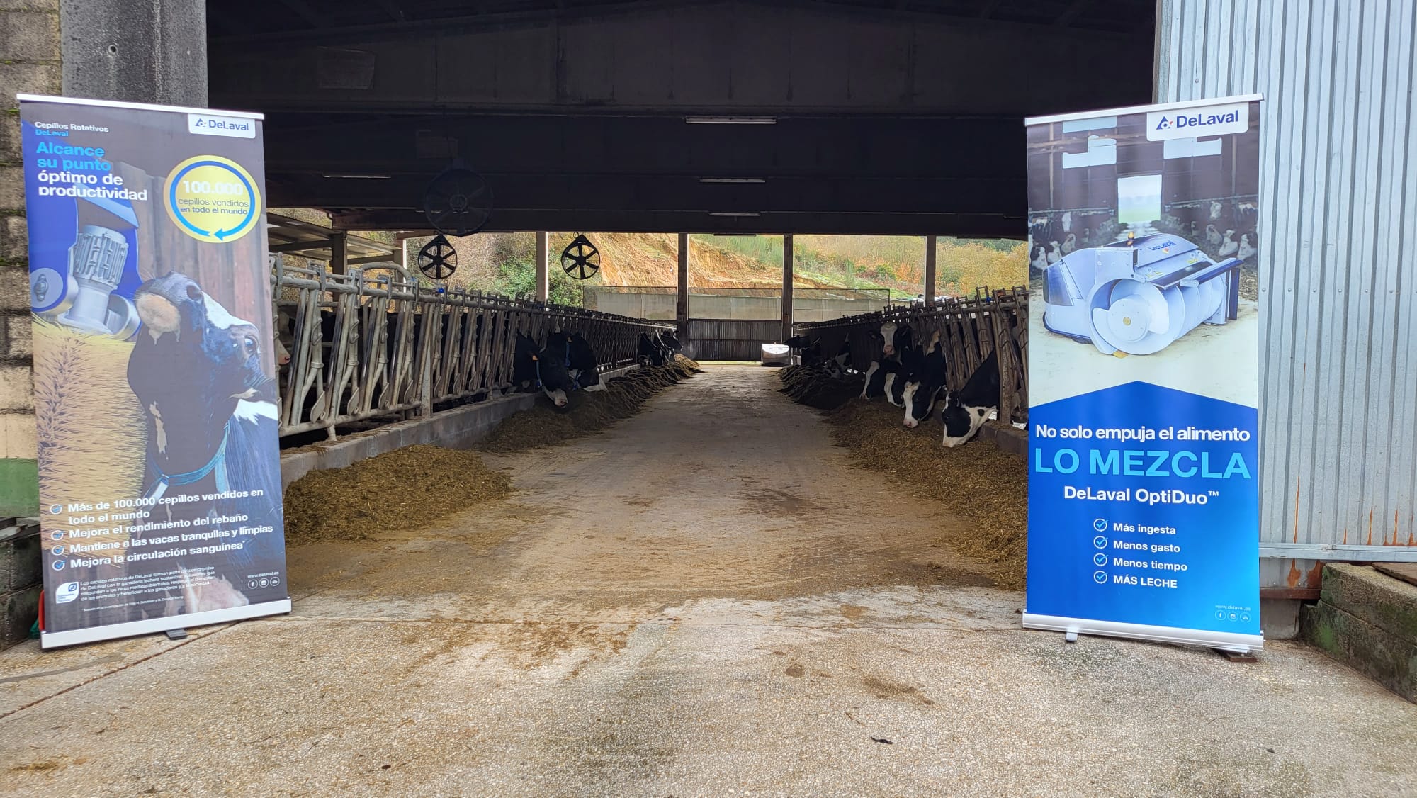 Día de Estudio V300 en Ganadería O PicoLeiva y Lorenzo (3).jpg