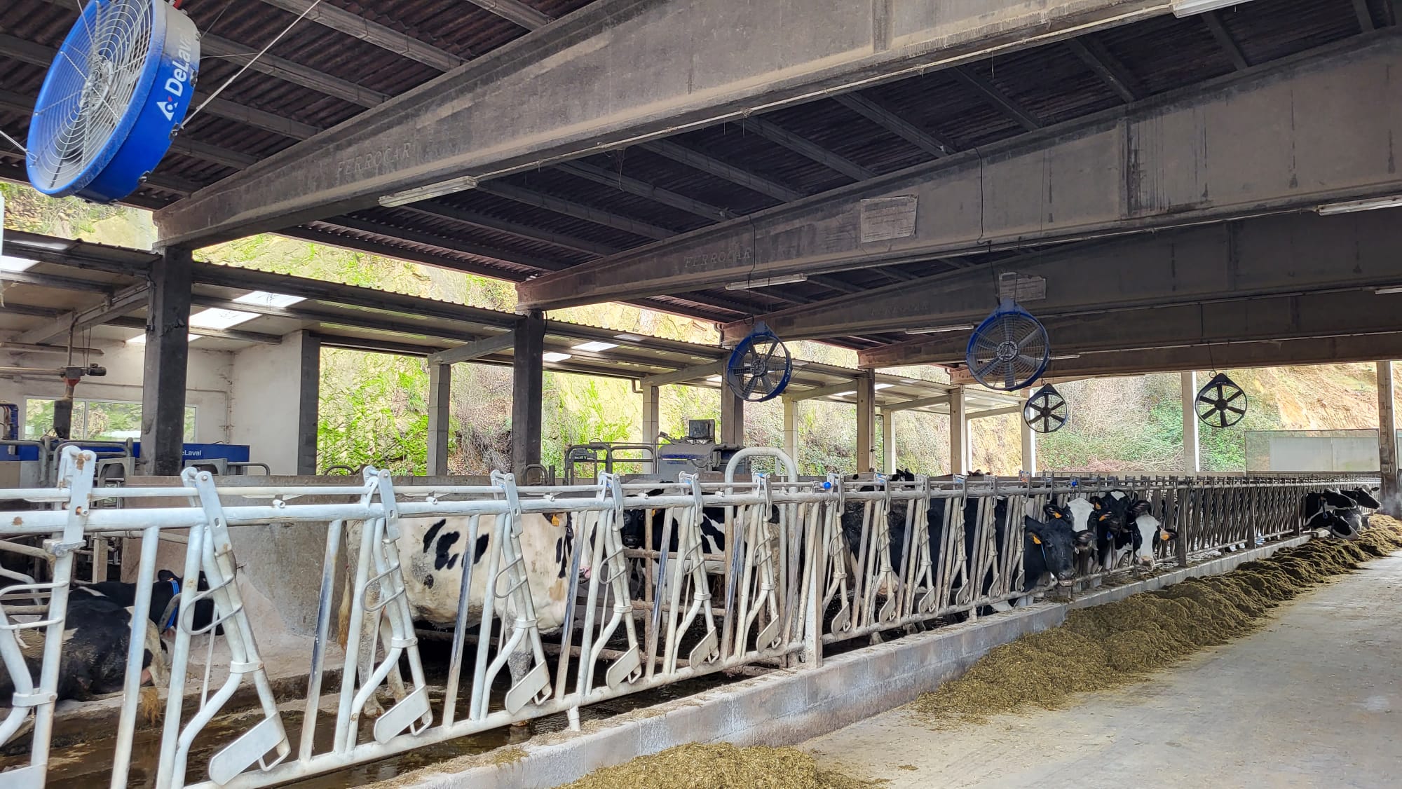 Día de Estudio V300 en Ganadería O PicoLeiva y Lorenzo (7).jpg