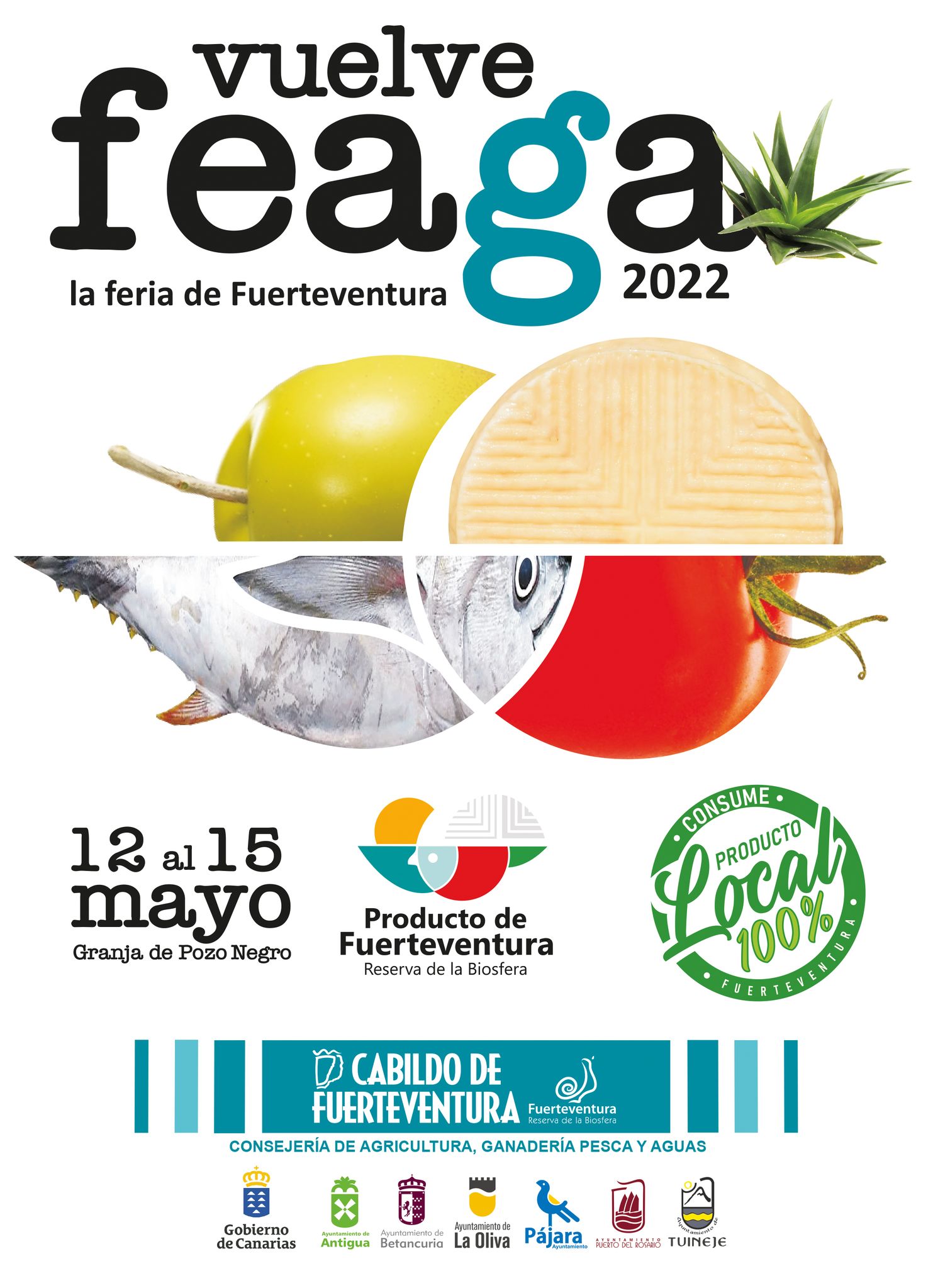 Feaga Fuerteventura - Pozo Negro.jpg