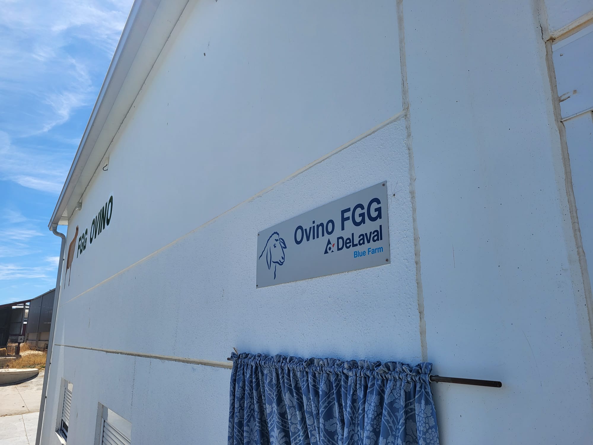 fgg-ovino-delaval (2).jpg