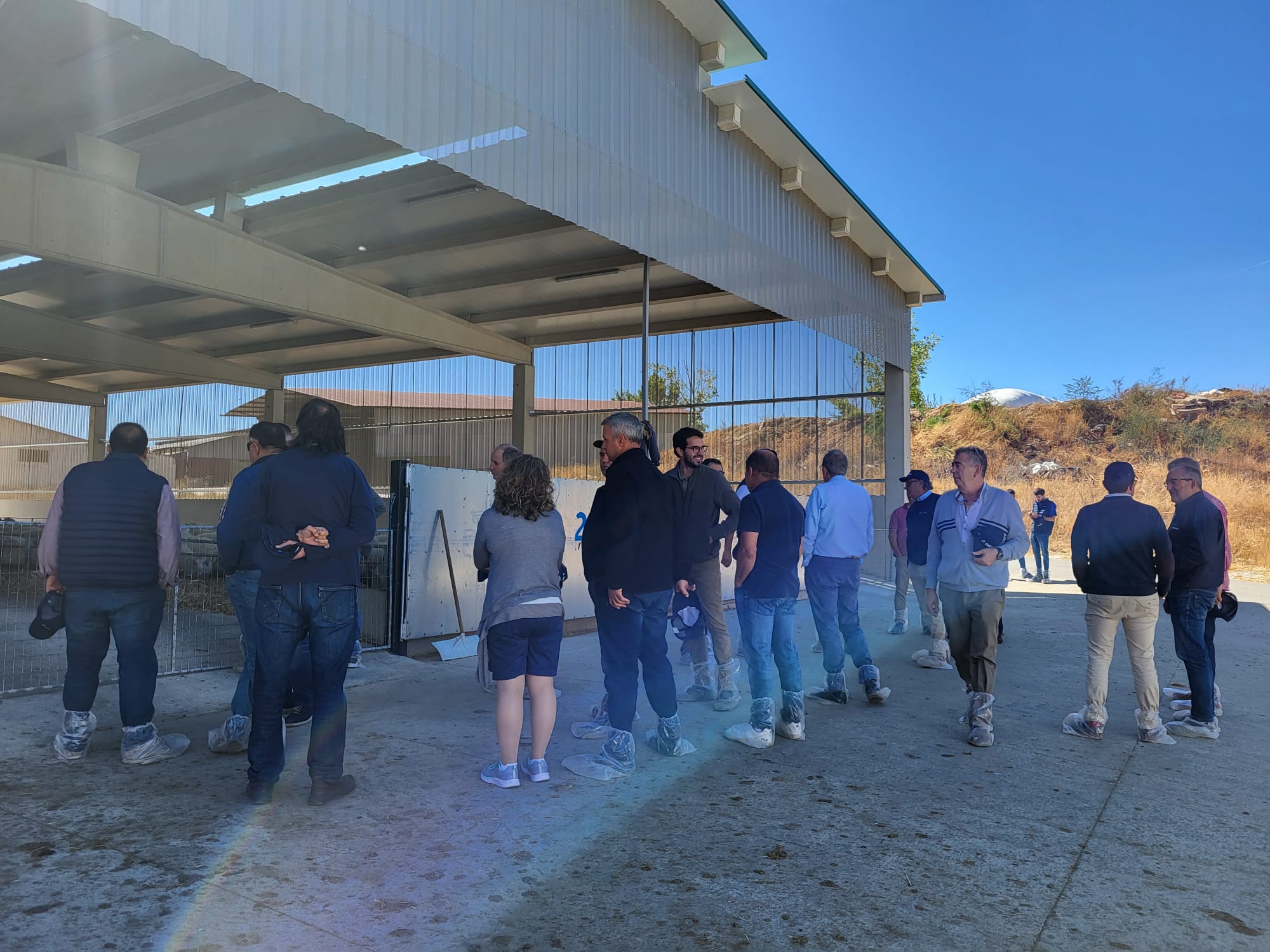 fgg-ovino-delaval (3).jpg