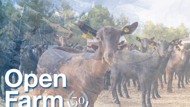 Día de estudio delaval Cantero de Letur