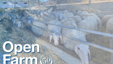 Día de estudio delaval FGG