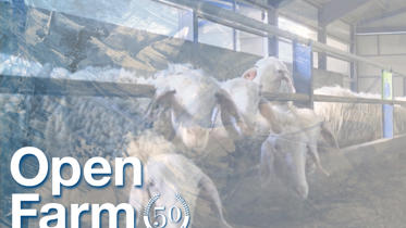 Día de estudio delaval Maraña Ayuela