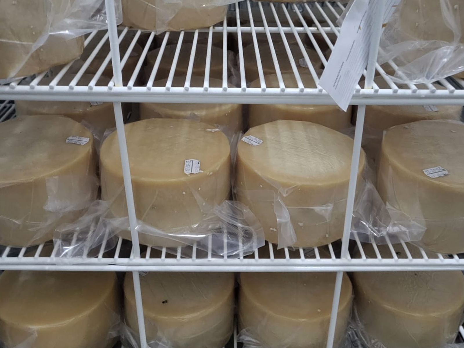 Premietxeberri-DeLaval (5).jpg