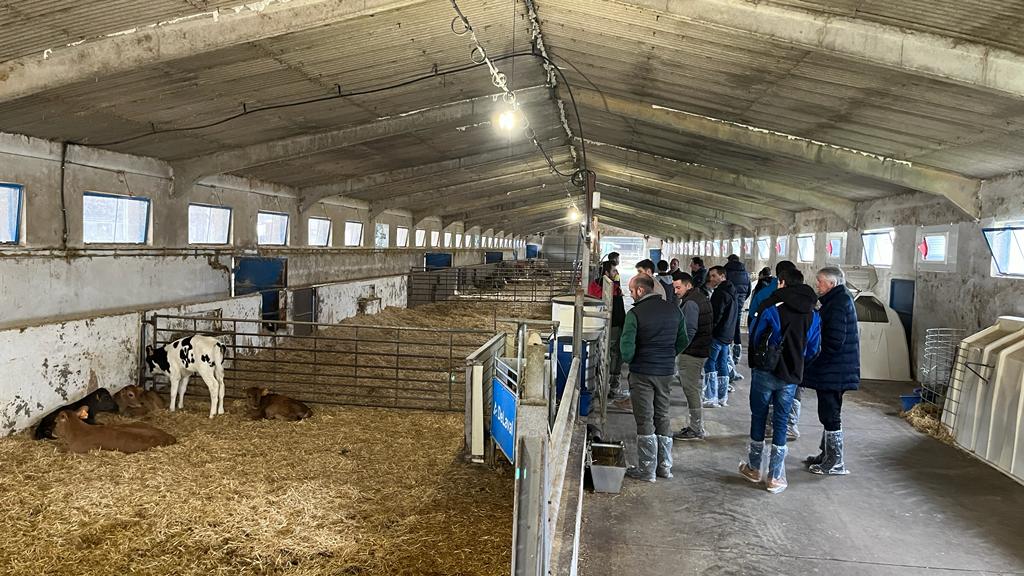 DeLaval P2100 2x8 vacas Jersey y nodriza CF500 50 terneros (4).jpg