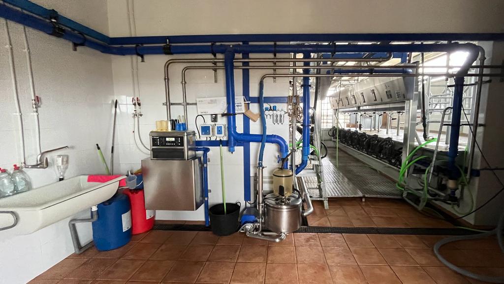 DeLaval P2100 2x8 vacas Jersey y nodriza CF500 50 terneros (5).jpg