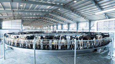 rotativa delaval e500