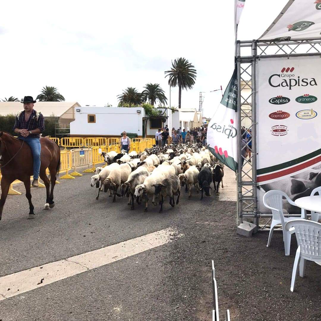 feria-gran-canaria-2023-delaval-capisa (1).jpg