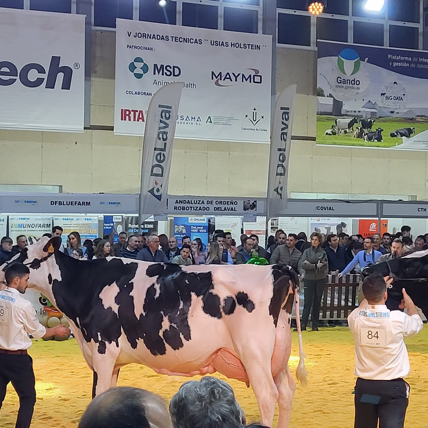 XV Feria de Ganado Frisón Usías Holstein-DeLaval_PWS_02.jpg