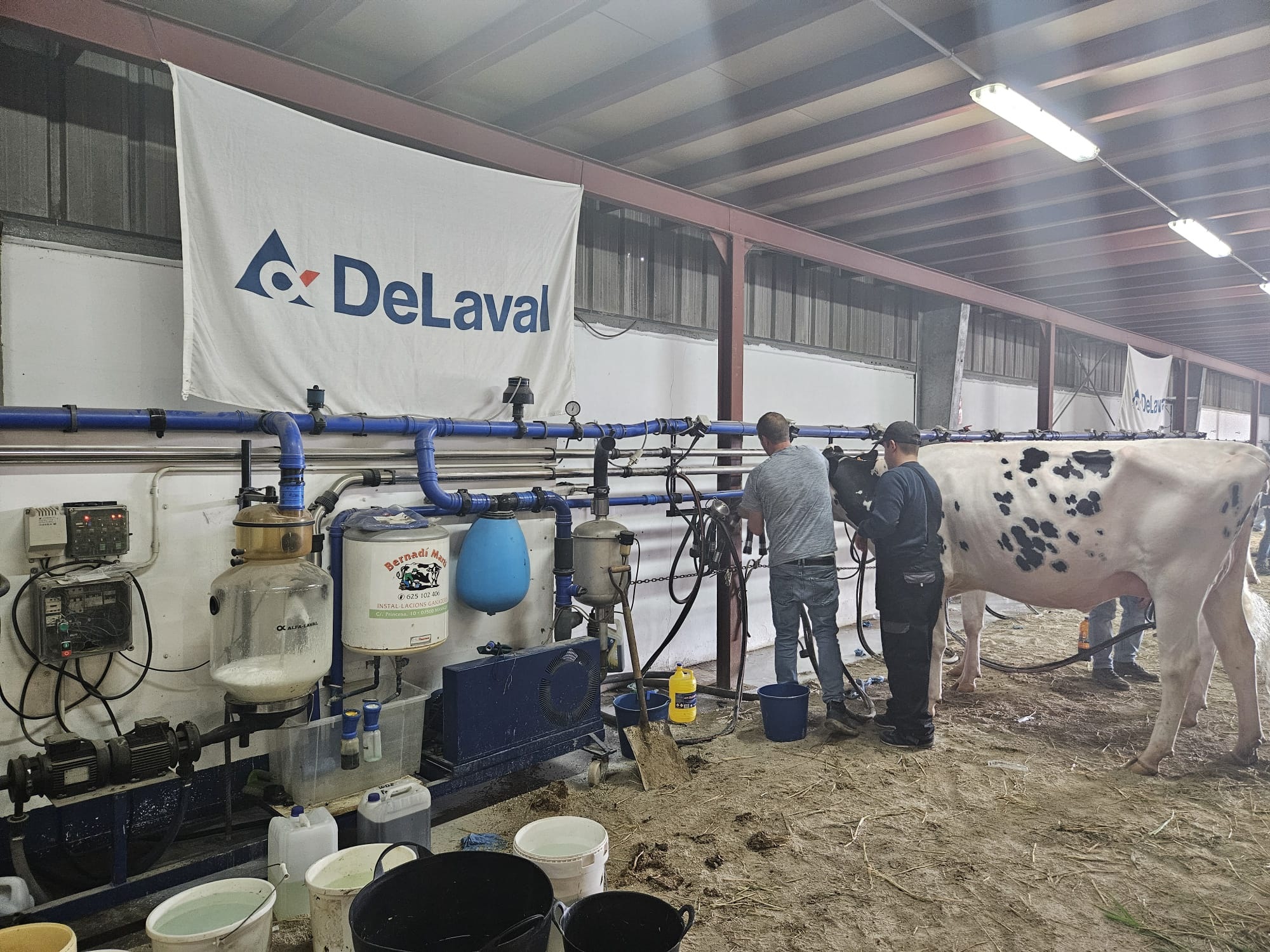 Fira-camp-menorca-delaval-ordeño