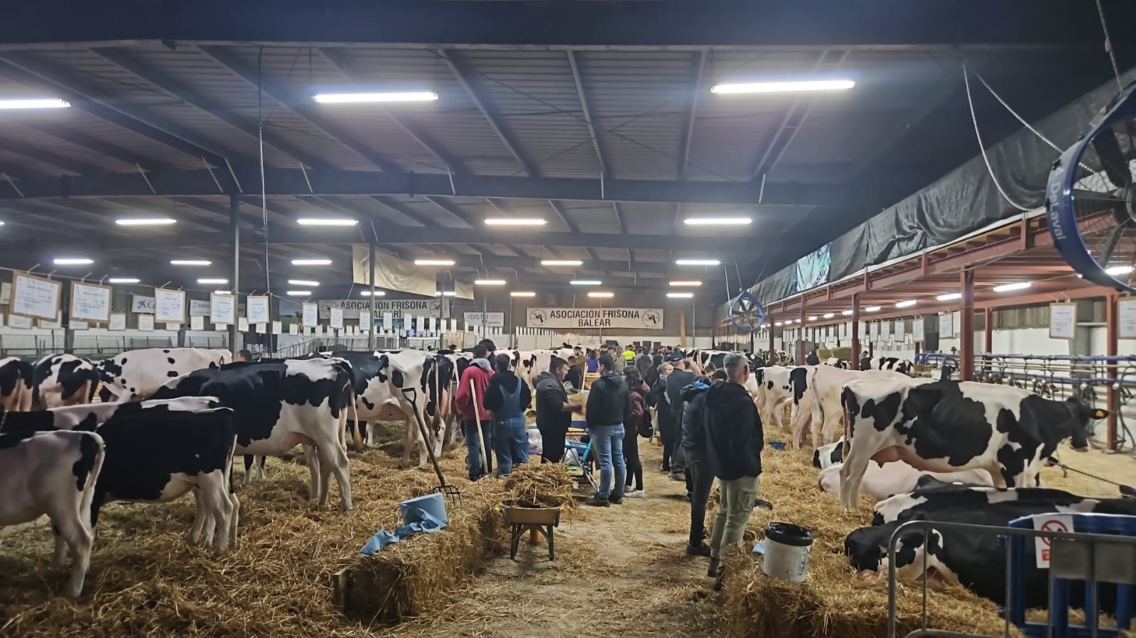 Fira-camp-menorca-delaval-bernadi-feria