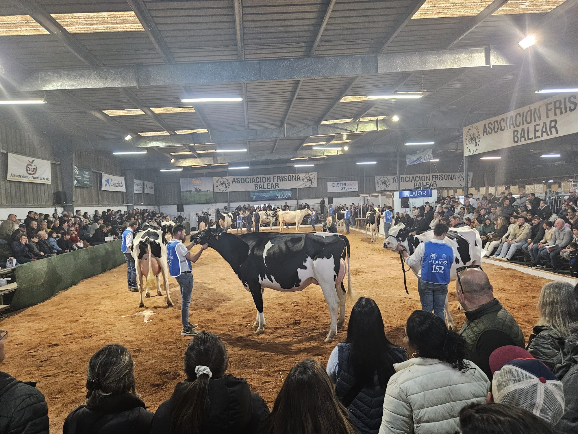 Fira-camp-menorca-delaval-concurso