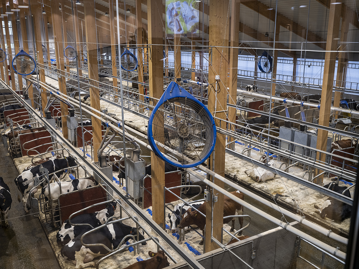 sistemas de ventilación DeLaval en Hamra Farm