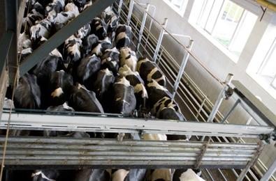 DeLaval Empujador de vacas Herdsman HRS