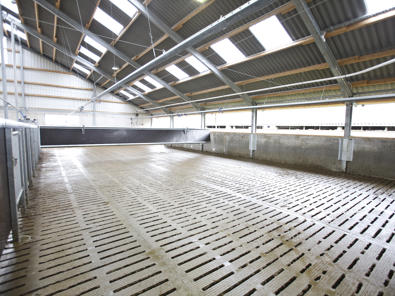 DeLaval Empujador de vacas M DeLaval Empujador de vacas M