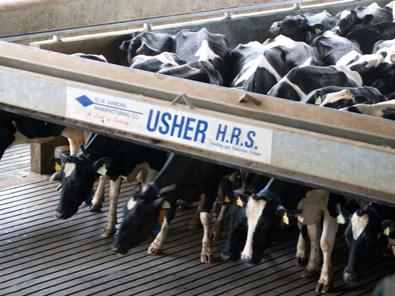 Empujador vacas Usher HRS de delaval Empujador vacas Usher HRS de delaval