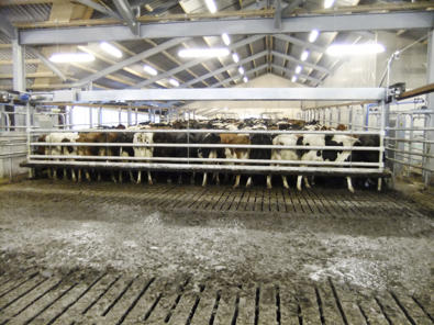 puerta empujadora delaval puerta empujadora delaval