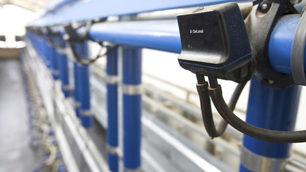 pulsador delaval pulsador delaval