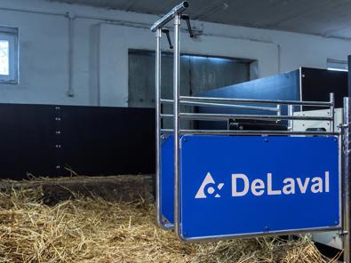 delaval optiflex para amamantadoras de terneras delaval optiflex para amamantadoras de terneras