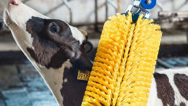 Cepillo para Terneras DeLaval