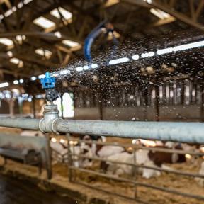 sistema cow cooling de delaval sistema cow cooling de delaval