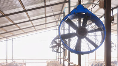 ventiladores para granjas delaval