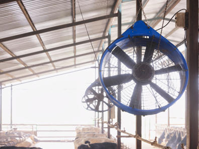 ventiladores para granjas delaval