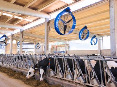 ventilador-delaval-ddf1500