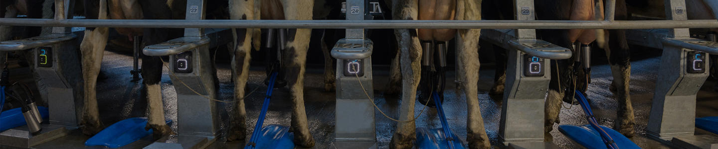 accesorios de ordeño delaval