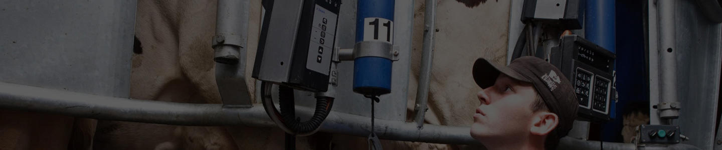 puntos de ordeño delaval puntos de ordeño delaval