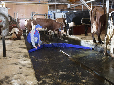 delaval-arrobadera-ACH delaval-arrobadera-ACH