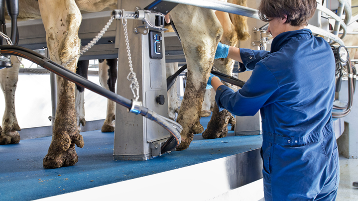 Think Big para grandes rebaños de DeLaval con Rotativa E300 DeLaval-think-big-grandes-rebaños-E300