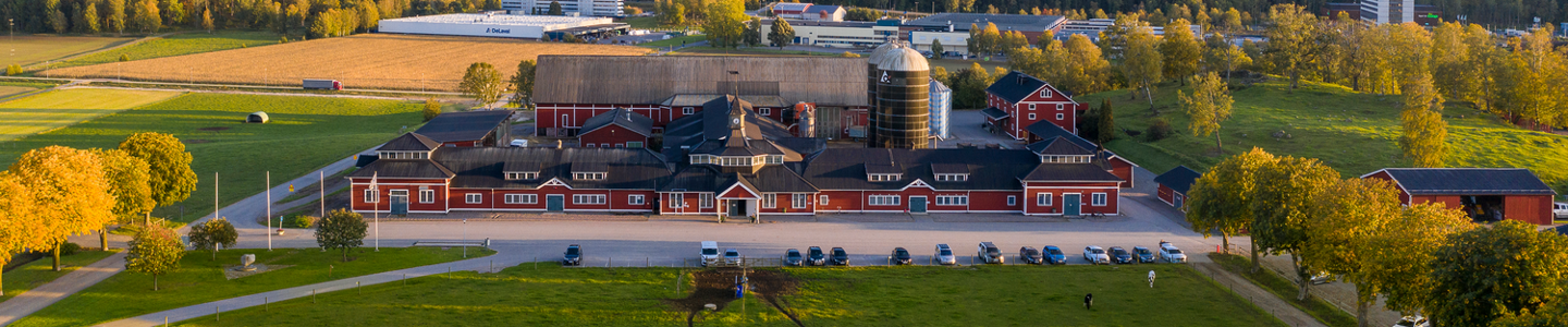 Hamra Farm Hamra Farm