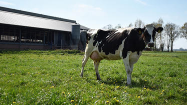 Sostenibilidad con vaca y edificio DeLaval