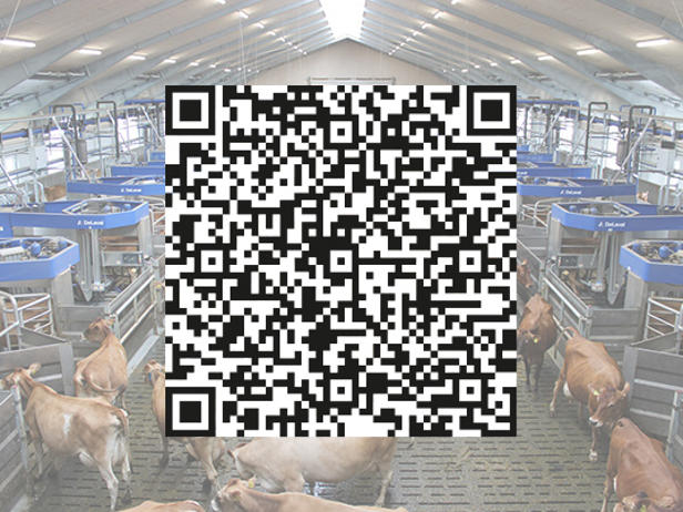 QR de visita virtual a granja de batch milking delaval ordeño lotes QR de visita virtual a granja de batch milking delaval ordeño lotes