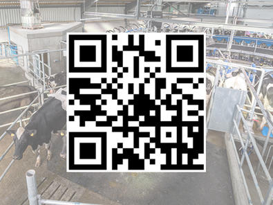 QR de visita virtual rotativa E100 QR de visita virtual rotativa E100