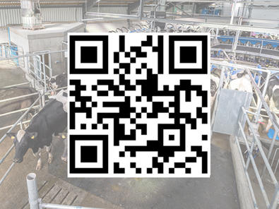 QR de visita virtual rotativa E100 QR de visita virtual rotativa E100