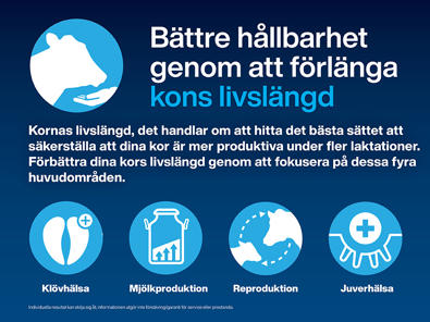 Kon livslängd med de fyra huvudområdena, klövhälsa, mjölkproduktion, reproduktion och juverhälsa.